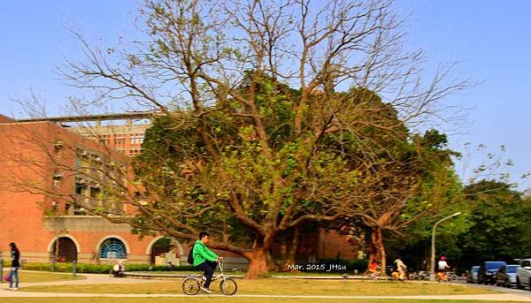 HSU_7813-1.jpg