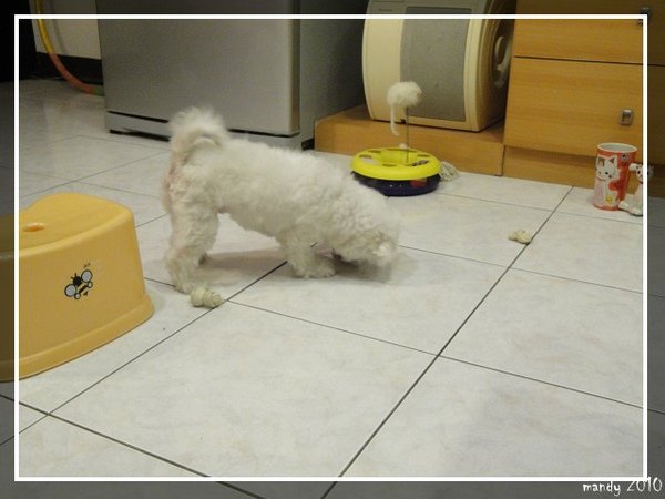 PhotoCap1_066.jpg