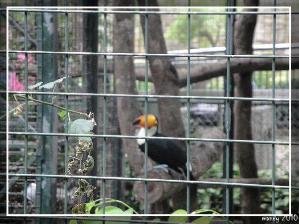 PhotoCap_016.jpg