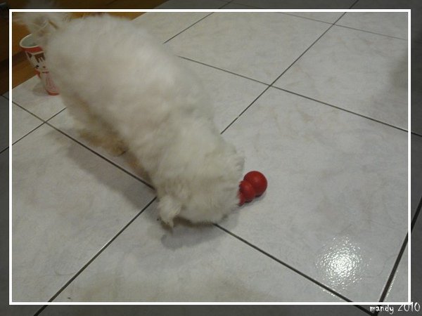 PhotoCap1_064.jpg