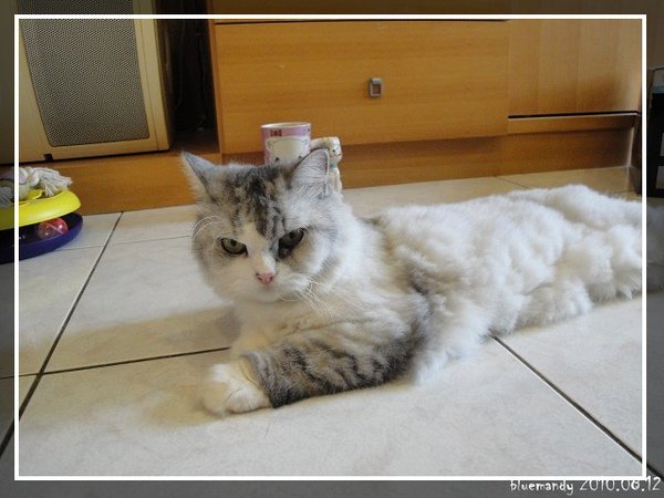 PhotoCap_008.jpg