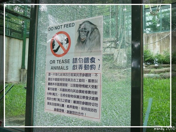 PhotoCap_037.jpg