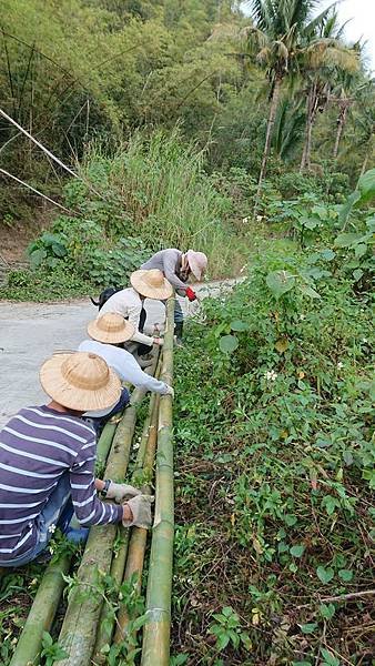 DSC_2411m.jpg