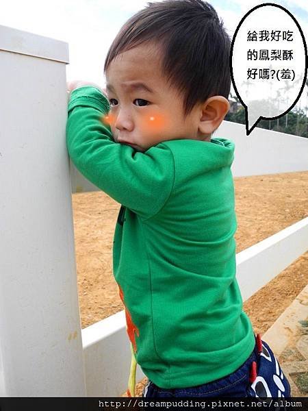 DSCN9348