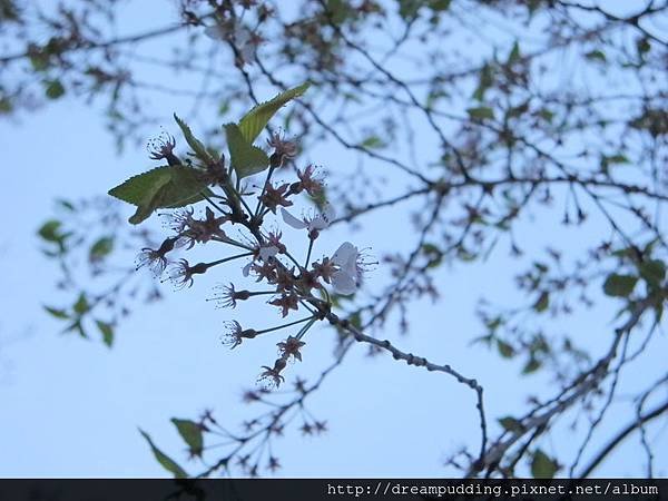 DSCN9935.JPG