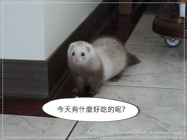 02.JPG
