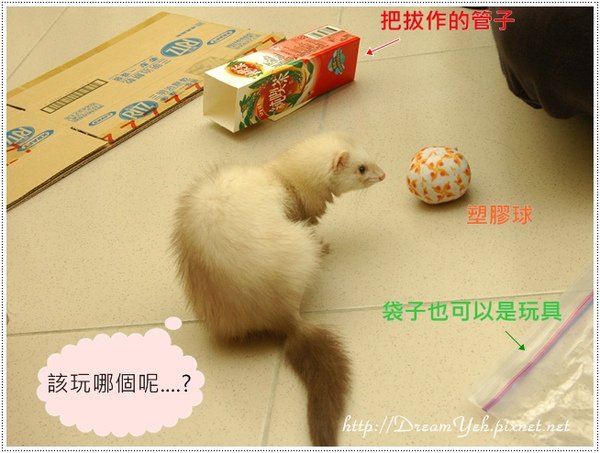 好多貂玩具