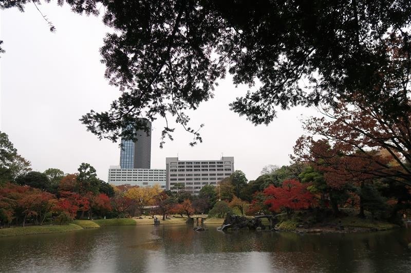 東京賞楓 小石川後樂園 038.jpg