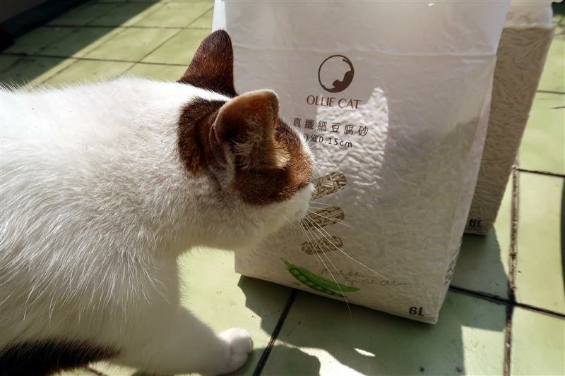 OLLIE CAT 真纖細豆腐砂豌豆砂 貓砂 馬桶 012.jpg