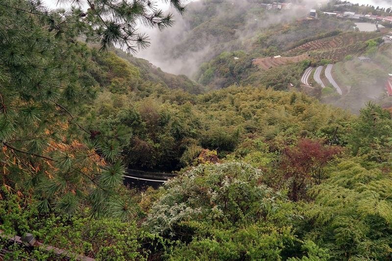 雲的故鄉 清境 湖景超級無敵雙人房 加床 早餐 067.jpg