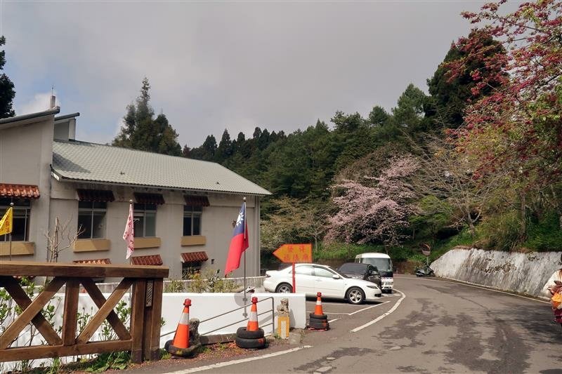 阿里山森林遊樂區 (10).jpg