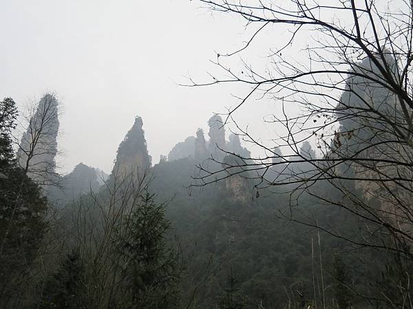 IMG_2635.JPG