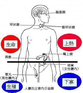 上熱下寒圖.jpg