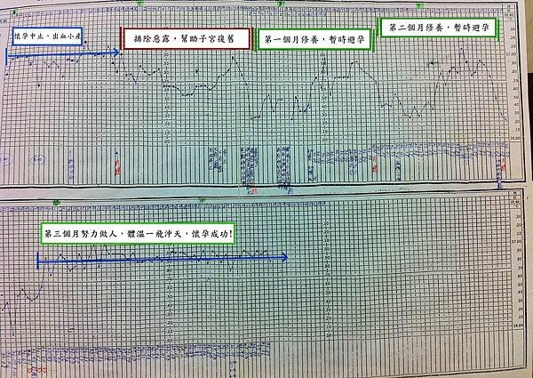 T小姐的BBT圖-1.jpg