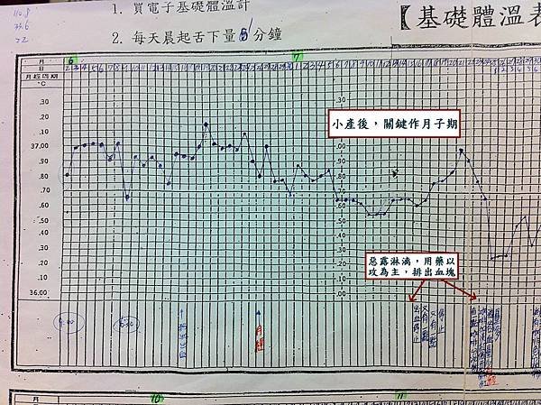 T小姐的BBT圖-2.jpg