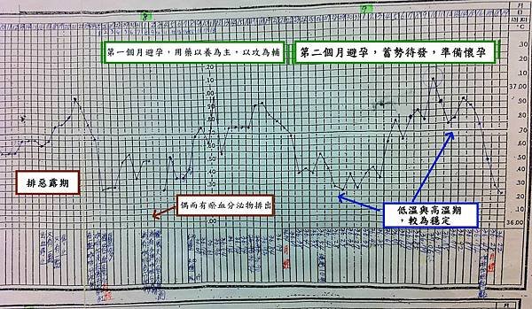 T小姐的BBT圖-3.jpg