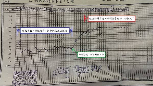 H小姐基礎體溫圖