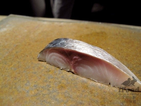06_千葉縣勝浦海岸青花魚-2.jpg
