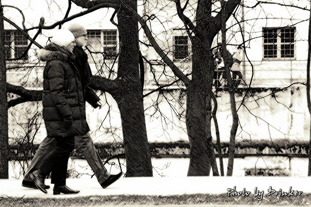 IMG_1181_0.jpg