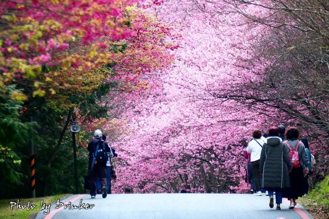 回首我2023年的旅遊路