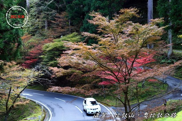 回首我2023年的旅遊路