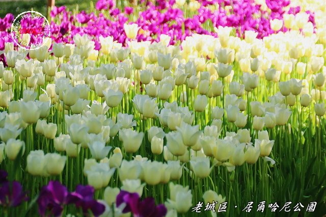 回首我2024年的旅遊路