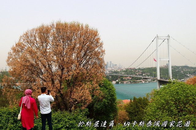 回首我2024年的旅遊路