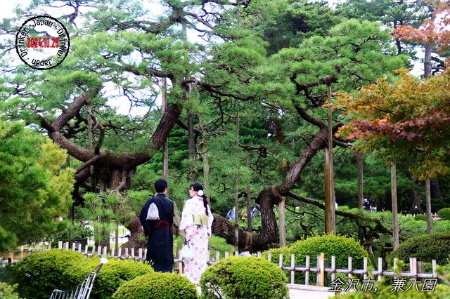 回首我2024年的旅遊路