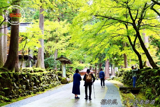 回首我2024年的旅遊路