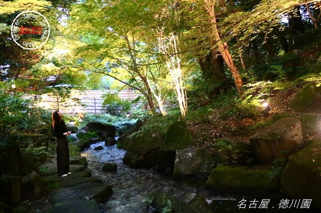 回首我2024年的旅遊路