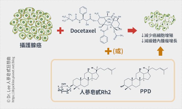 人蔘皂甙Rh2和PPD合併使用化療藥物Docetaxel治療攝護腺癌的效果