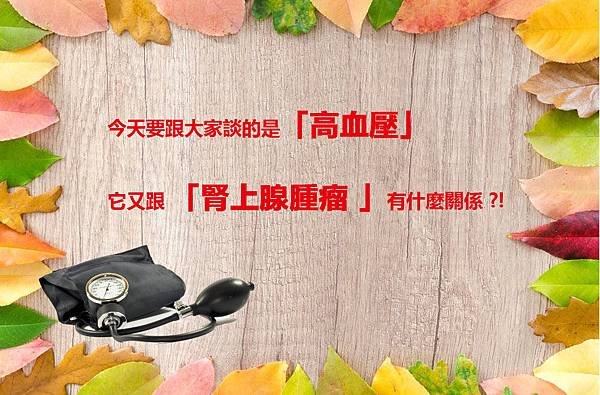 腎上腺腫瘤拷貝.jpg