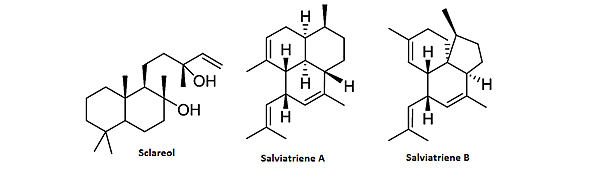 快樂鼠尾草的快樂鼠尾草醇化學結構.png