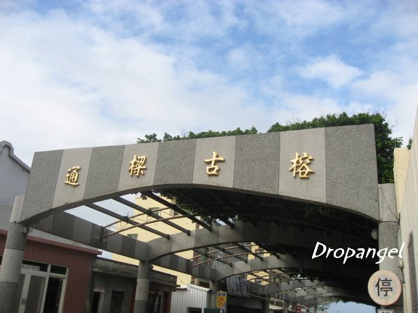 通梁古榕