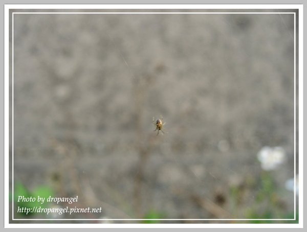 IMG_0624_1.JPG