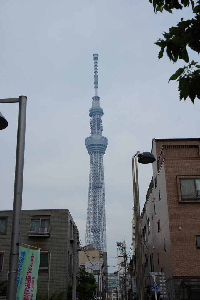DSC02966