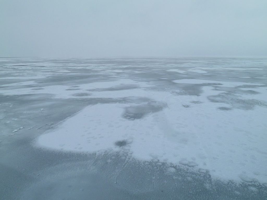 L1130984.jpg