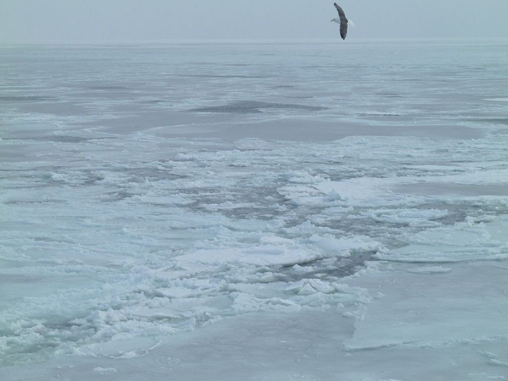 L1130999.jpg