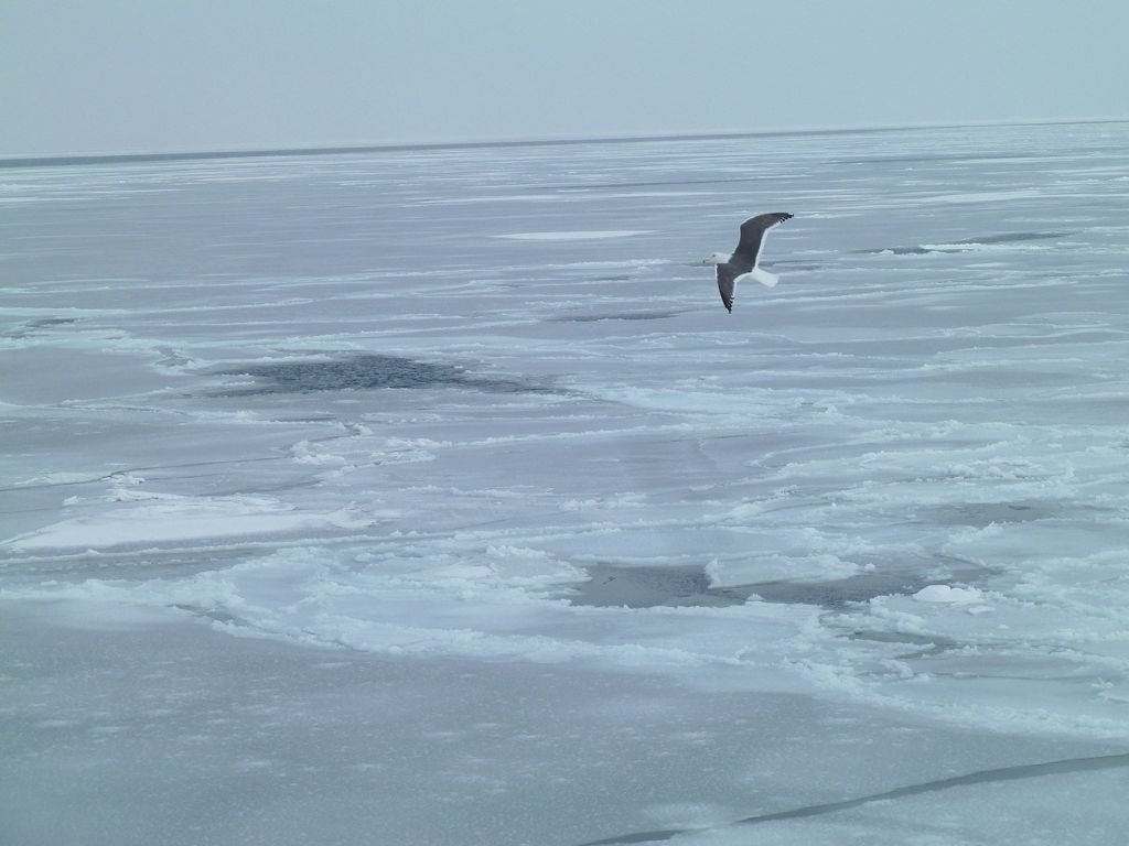 L1140002.jpg