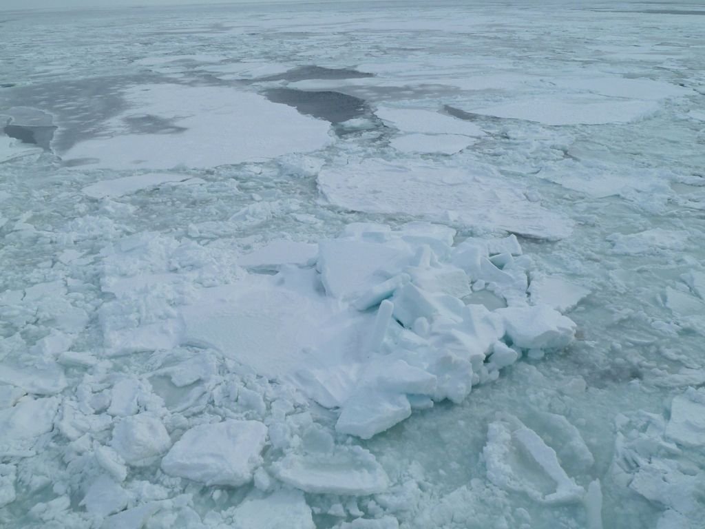 L1140010.jpg