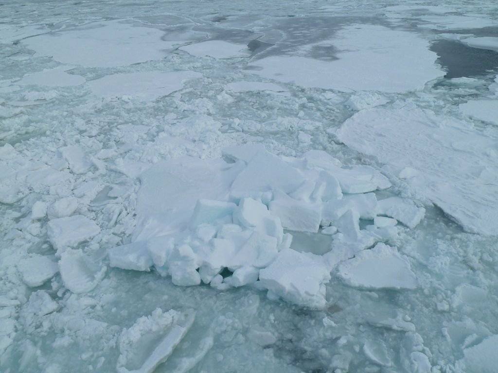 L1140011.jpg