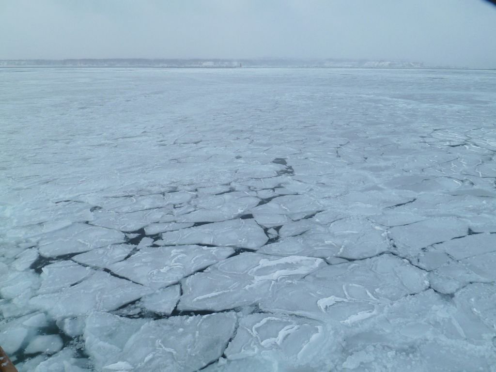 L1140028.jpg