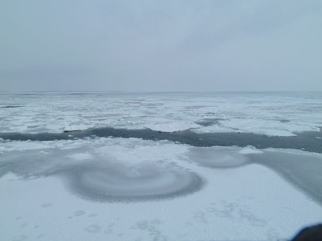 L1140014.jpg