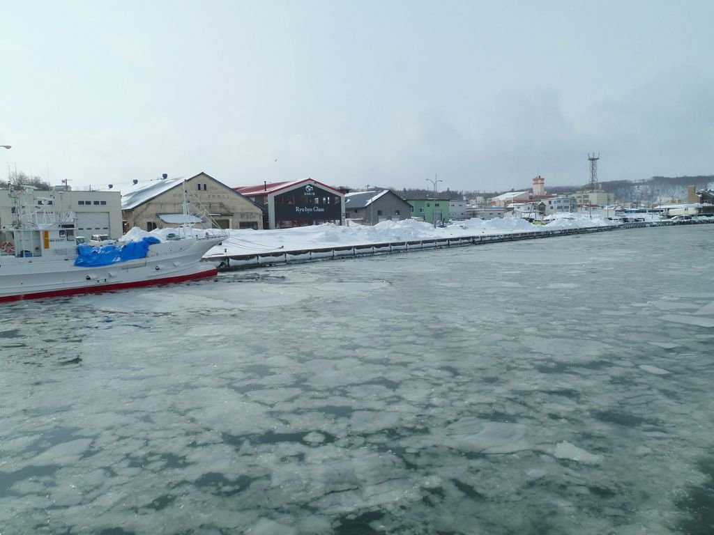 L1140073.jpg