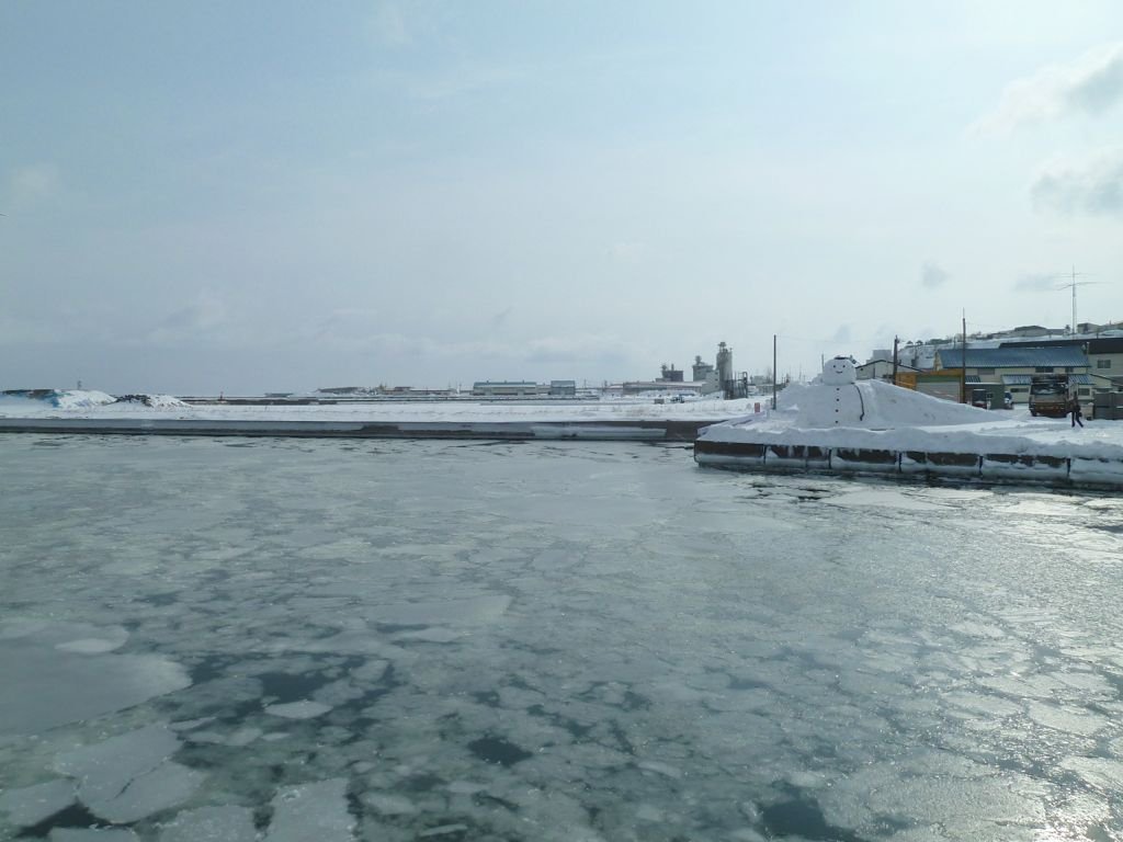 L1140071.jpg