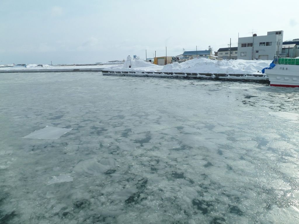 L1140074.jpg