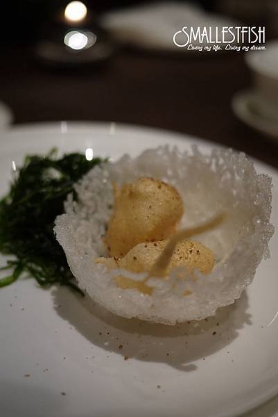 P1080172a.jpg