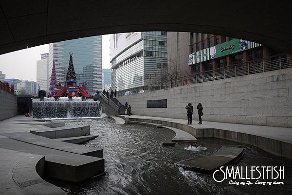 P1090964a.jpg
