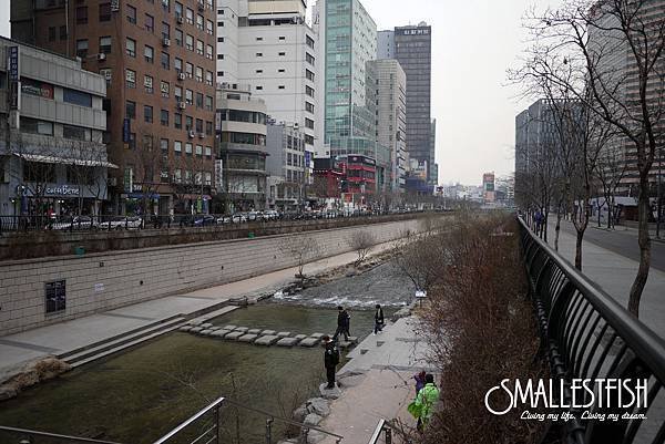 P1090976a.jpg