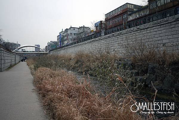 P1090990a.jpg